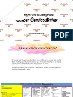 Historia, Cancer Cervicouterino ANEL