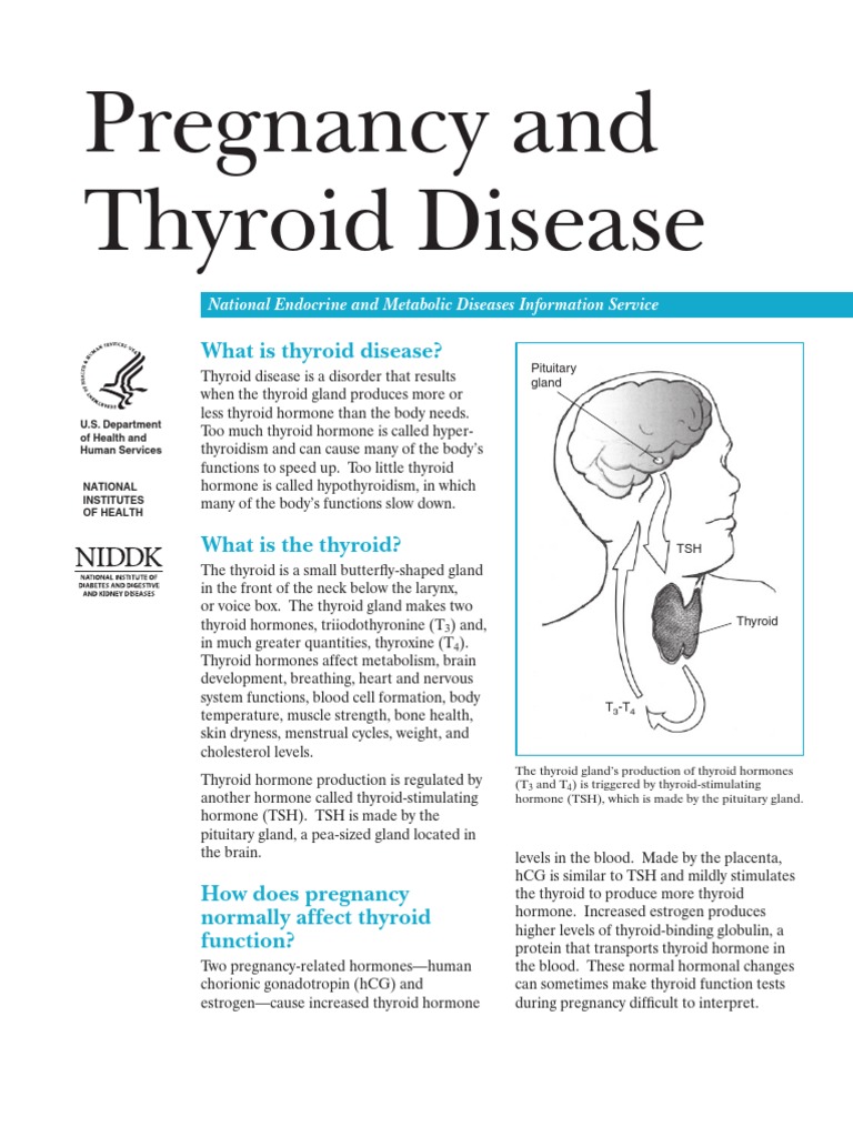Pregnancy Thyroid Disease Hypothyroidism Thyroid