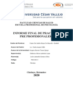 Informe Final de Prácticas Pre Profesionales PP1 Completo