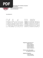 Download Diabetes Mellitus Informe by Francisco Javier Madrid Ruiz SN58135198 doc pdf