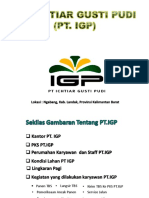 Bahan Persentase Pengenalan PT IGP