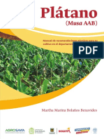 01 Manual Platano 2020 EBOOK