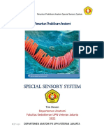 PENUNTUN ANATOMI SPECIAL SENSORY SYSTEM Rev 2022