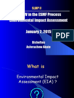 Esmf-Eia Process January 1-2 SLMP II