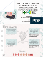 Faktor Risk Anemia Kehamilan