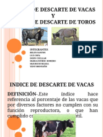 Índice de Descarte de Vacas