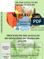 Aula 05 Processo de Fiscalização Do Ministério Do Trabalho 020622