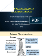 Addison, Crisis Adrenal, Cushing - DR Eva-1