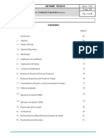 Analisis Ergonomico de Puesto de Trabajo