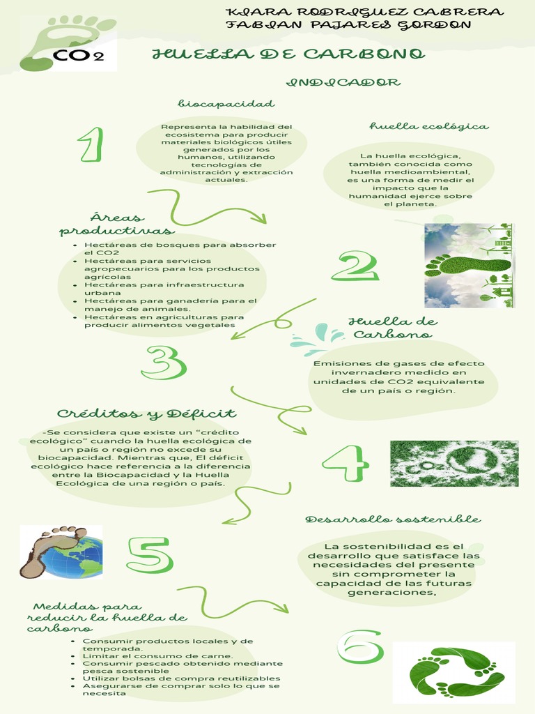 Infografía huella de carbono | PDF | Sustentabilidad | Desarrollo ...