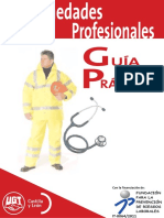 Guia Practica Enfermedades Profesionales