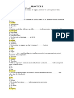 Practice 2: Gammar and Vocabulary