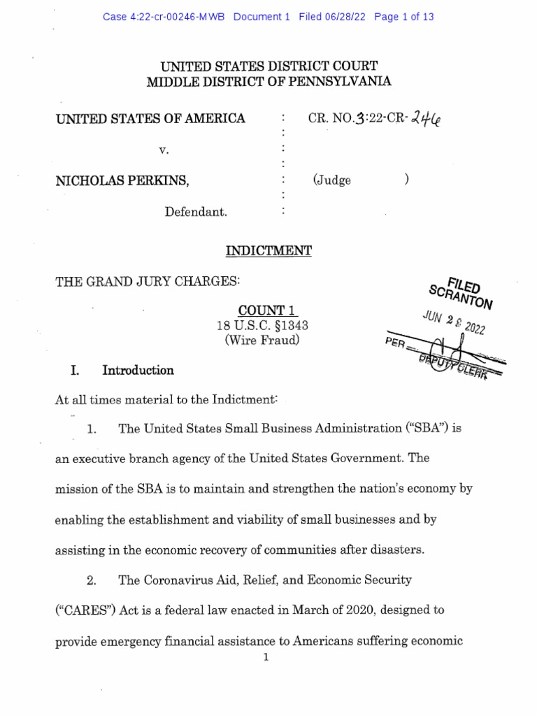 Nicholas Perkins Case Overview | PDF