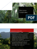 Recursos Forestales