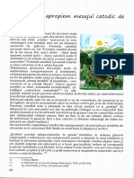 12 Intrebari Pe Care Trebuie Sa Ni Le Punem - Cum Sa Apropiem Mesajul Catodic de Cel Religios