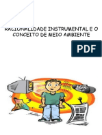 Racionalidade Instrumental e o Conceito de Meio Ambiente