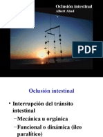 Oclusión intestinal: causas, síntomas y tratamiento