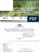 Manual-videira-Guarrido-2008.PDF