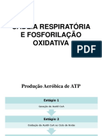 CadeiaRespiratoria FosforilacaoOxidativa (2022 I)