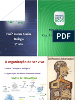 Webinar Pedagógico 6º e 7º Anos Prof. Denise Cunha Biologia 9º Ano