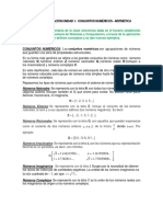 Conceptualización Unidad 1-Conjuntos Numéricos - Operaciones Con Números Enteros y Fraccionarios-20211