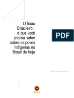 Gersem Dos Santos Luciano. O Índio Brasileiro ... Grupo III