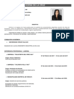 CV - Karen Horna de La Cruz