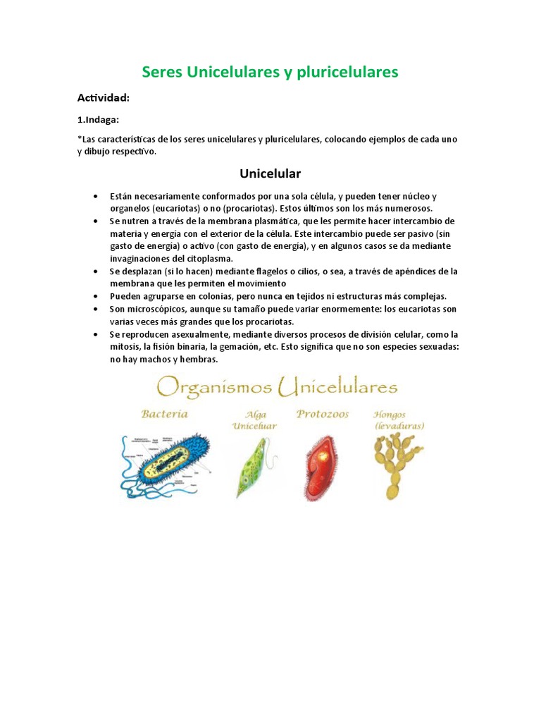 Seres Unicelulares y Pluricelulares | PDF | Biología Celular) | Organismos