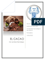 El Cacao - Hector Ivan Rosas Gomez - 320010087