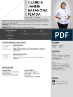 Formato CV Ac Internship