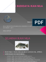 Materi Ikan Nila (Dian.h)