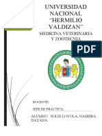 Universidad Nacional "Hermilio Valdizan": Medicina Veterinaria Y Zootecnia