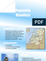 Populatia Olandeza: Proiect de Nache David Cls. 12 C