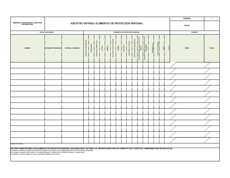 Registro de Entrega EPP | PDF