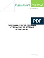 Formato N°2 Proced de Identif de Peligros y Eval de Riesgos - FR050V01