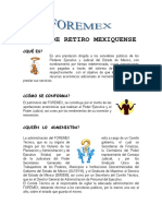 Informaci N FOREMEX2010