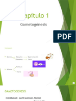 Capitulo 1