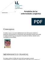 Portafolio