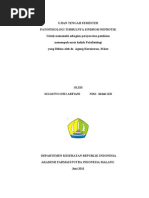 Patofisiologi