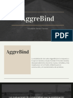 Aggre Bind