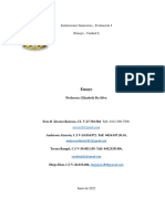 Instituciones Financieras - Ensayo