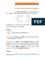 Tema 1 Matrices