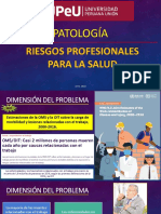 Riesgos Profesionales para La Salud