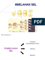 Pembelahan Sel (Materi Sma)