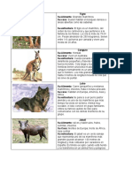 Clasificacion de Animales