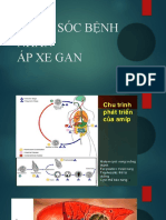 CSNG Áp Xe Gan