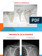 presentacion laboratorio anatomia