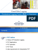 Production Logging (PLT)