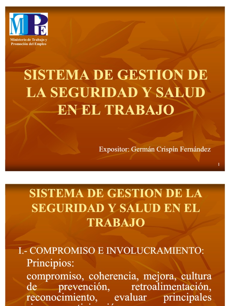 Sistema de Gestion en Seguridad y Salud | PDF