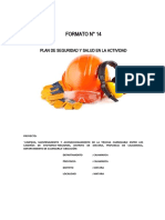 Plan de Seguridad y Salu en La Actividad Matara
